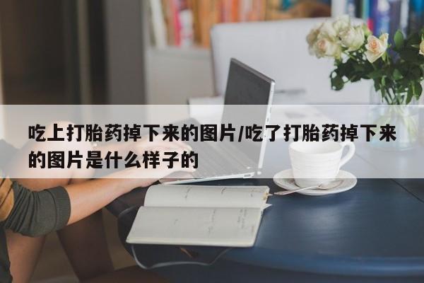 米非司酮片在线购买吃上打胎药掉下来的图片/吃了打胎药掉下来的图片是什么样子的